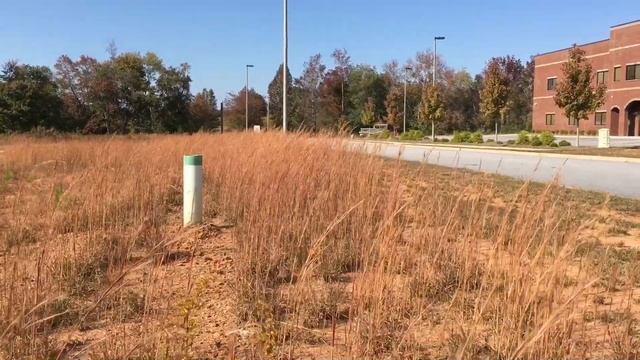 Best Neodymium mid-bass Speakers you've never heard of! смотреть онлайн