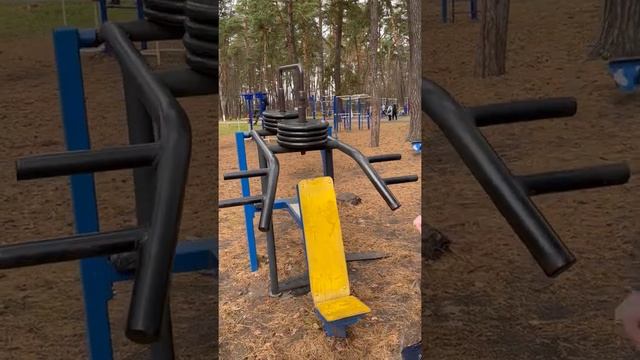 Жим лежа, жим сидя и сгибания рук на уличных тренажерах смотреть онлайн