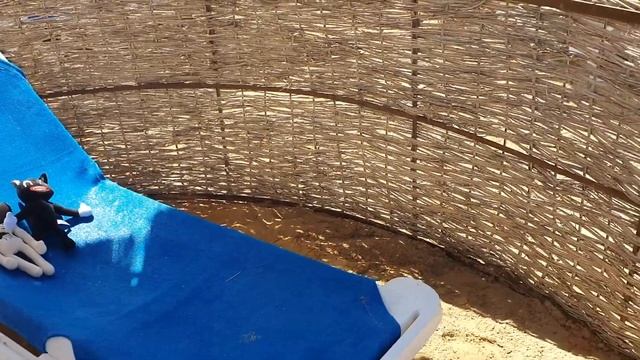 Кукла вуду Картун Кэт и сиреноголовый на море в Египте. Игрушки превращаются в реальность смотреть онлайн
