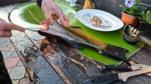 Как почистить и разделать линя на филе правильно.Лучший способ