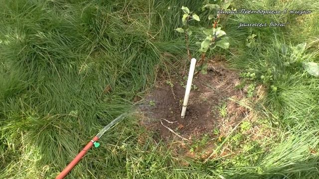 Беда для сада сухая осень смотреть онлайн