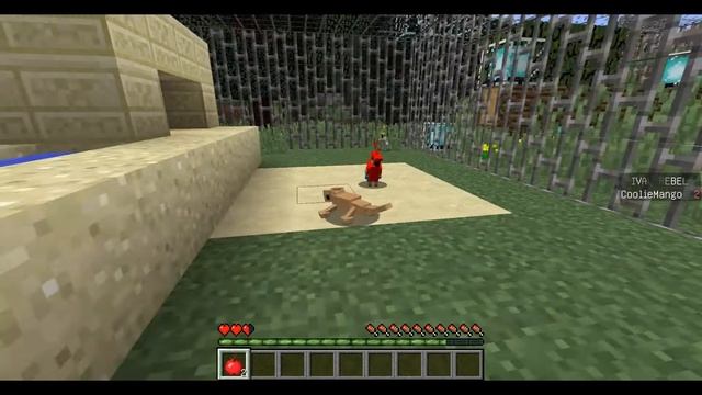 ЖИВОТНЫЕ СБЕЖАЛИ ИЗ ЗООПАРКА МАЙНКРАФТ №2 смотреть онлайн