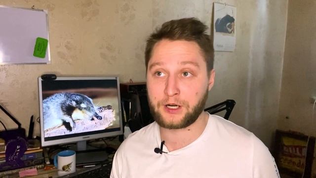 Путешествие в Орловское Полесье на катафалке | В поисках норы выхухоли смотреть онлайн