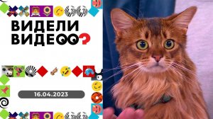 Видели видео? Выпуск от 16.04.2023