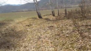 Катандинские курганы в Республике Алтай. Скифские курганы