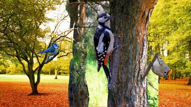 Читаем отрывок из "Сказок Птички-невелички" Валерия Кастрючина смотреть онлайн