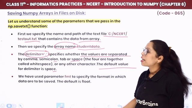 Saving NumPy Arrays in Files on Disk | Class 11 Informatics Practices Chapter 6 (Theory & Practical смотреть онлайн
