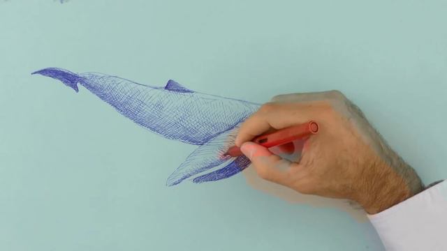 How to Draw a Whale With Fountain Pen смотреть онлайн