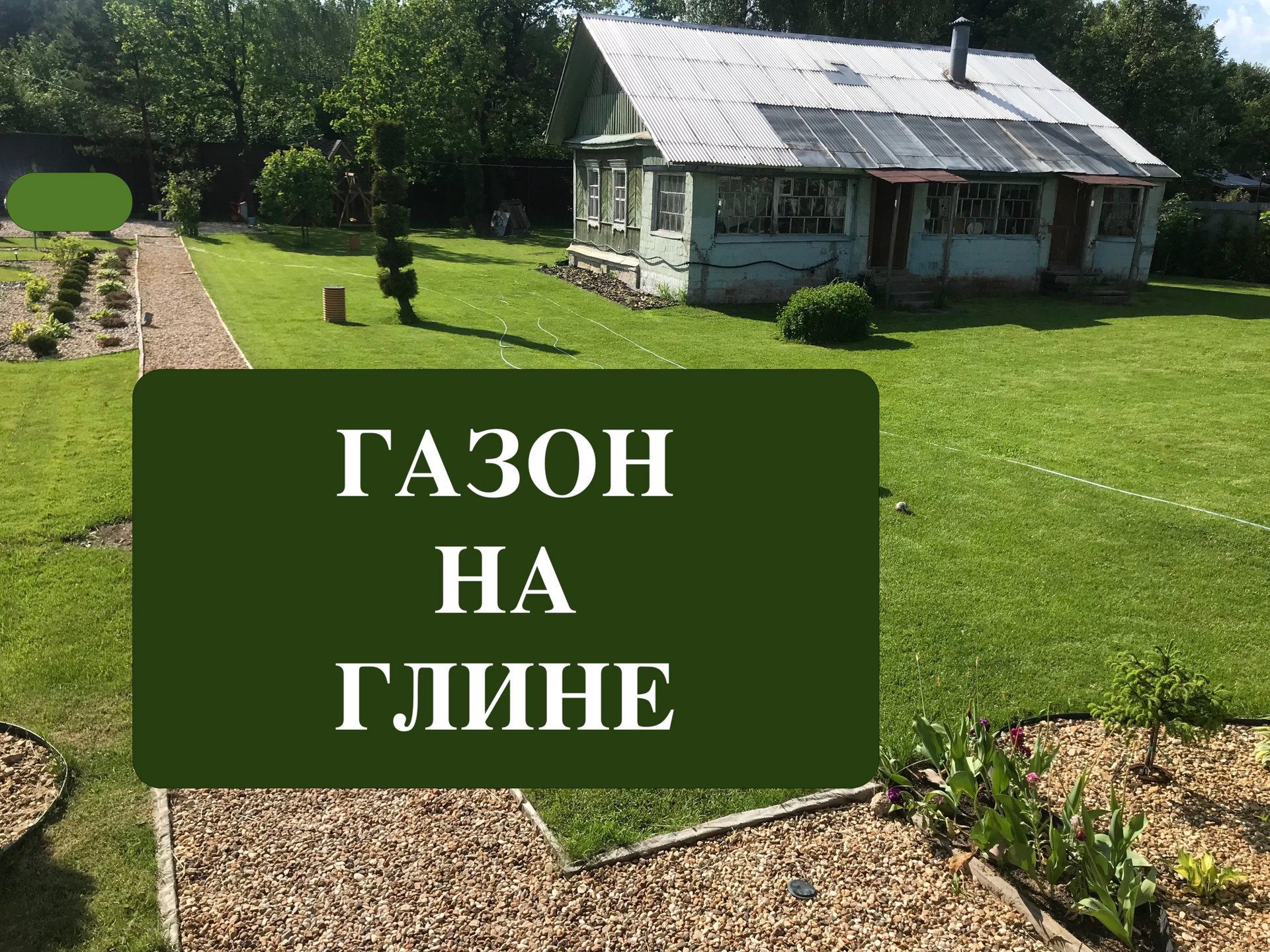 Газон на глине