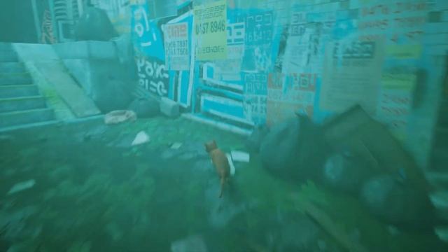 Stray Gameplay Геймплей путишествие в большом городе УМНЫЙ КОТ