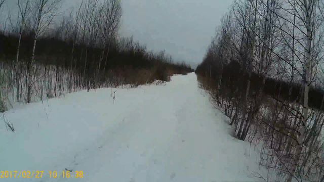 закрытие охоты на зайца 27.02.2017 смотреть онлайн