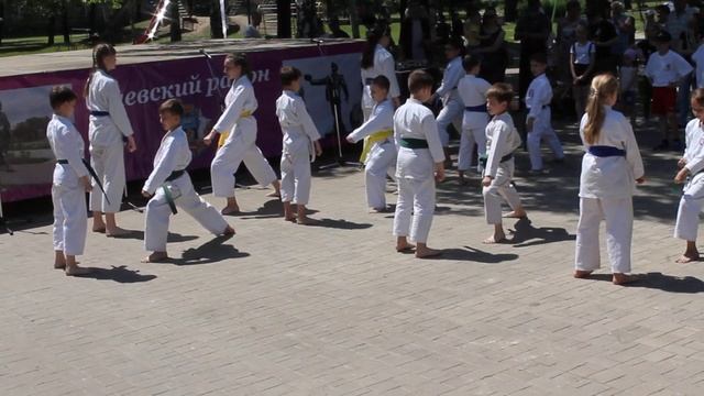 Показательные выступления клуба "Додзё" на спортивном празднике ко Всемирному Дню Детей, 31.05.2019 смотреть онлайн