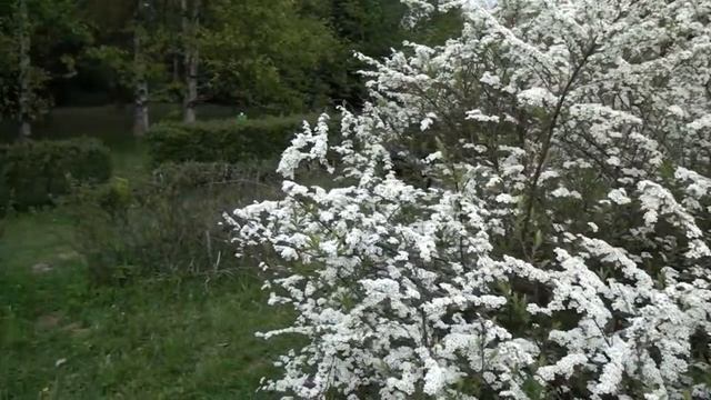 Антон и Светлана смотреть онлайн