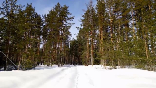 АНОНС Продаж Ковриков #ткачество #ручнаяработа #хендмейд #домашнийуют