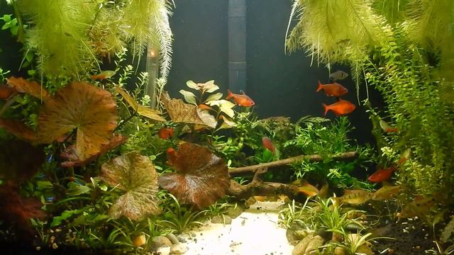 Казусы и непонятки. смотреть онлайн