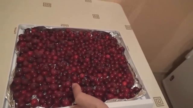 Как заморозить вишню на зиму правильно смотреть онлайн