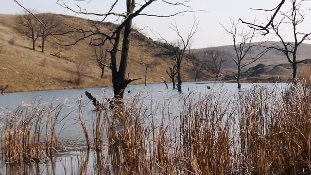 видео PANASONIC LUMIX DMC G5K смотреть онлайн
