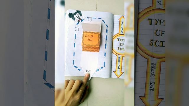 class 10 social science project , Resources n development project смотреть онлайн