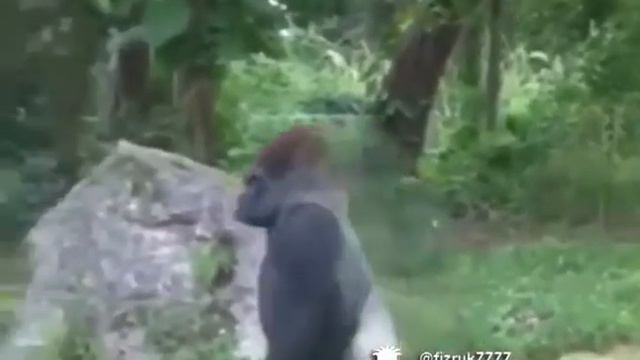 Ключ забыл от приоры смотреть онлайн