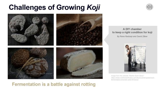 Liquid Shio Koji, the game changer for all cooking!!! смотреть онлайн