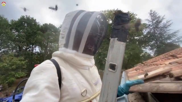 Азиатский шершень - атака сюрприз. Охотник на шершня. (сезон 2022) смотреть онлайн