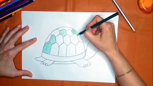 Как нарисовать черепаху карандашом. Онлайн-школа рисования "Малевашки" смотреть онлайн