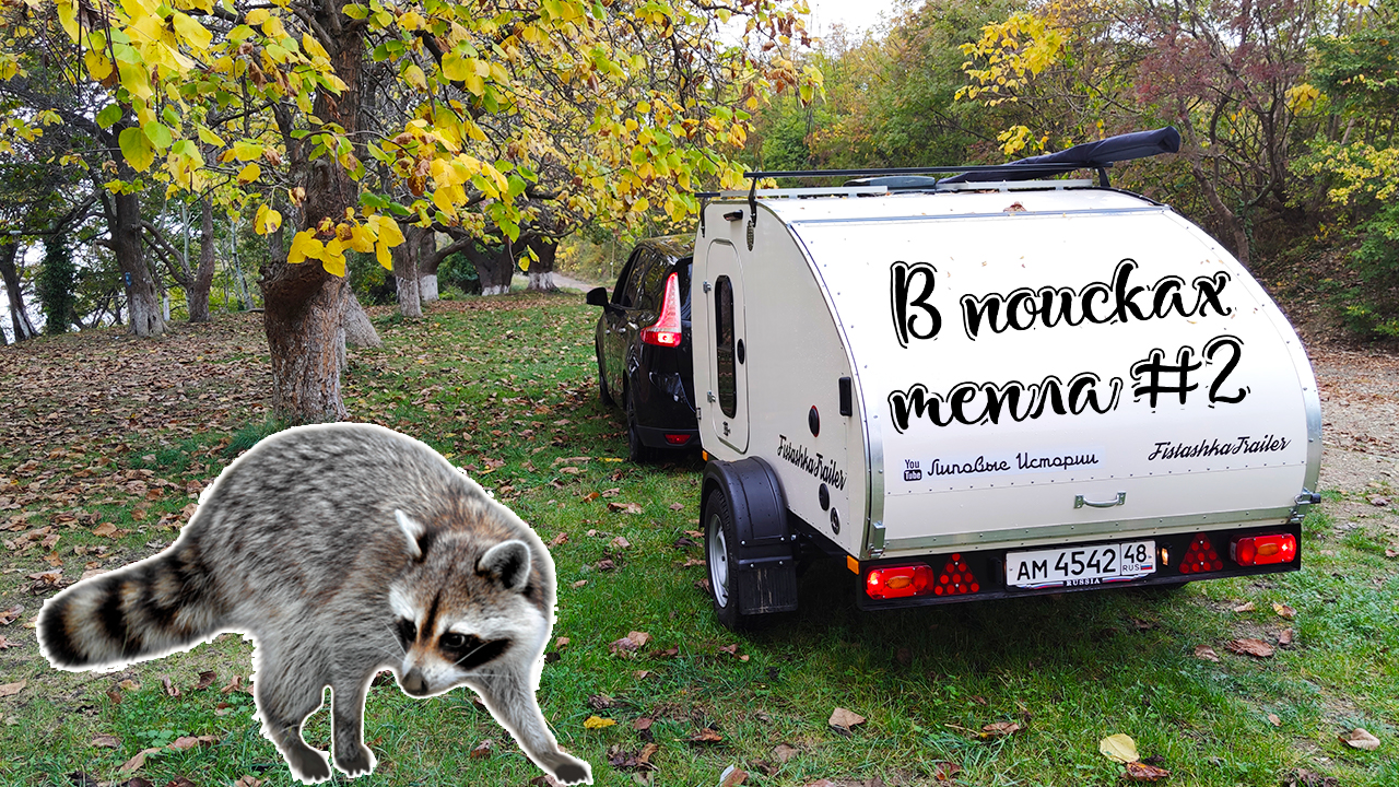 Попали в окружение к Енотам на Чёрном море. Горячий Ключ, Лермотово и парк Лога в Ростовской области смотреть онлайн