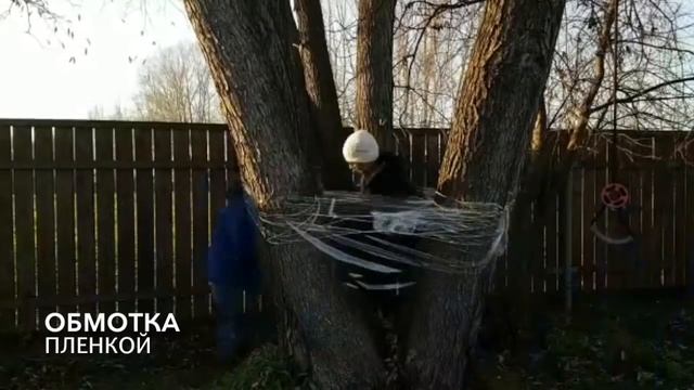 Дом из пленки на дереве смотреть онлайн