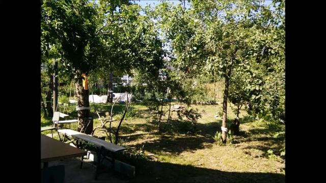 2021 как менялся сад 3 смотреть онлайн