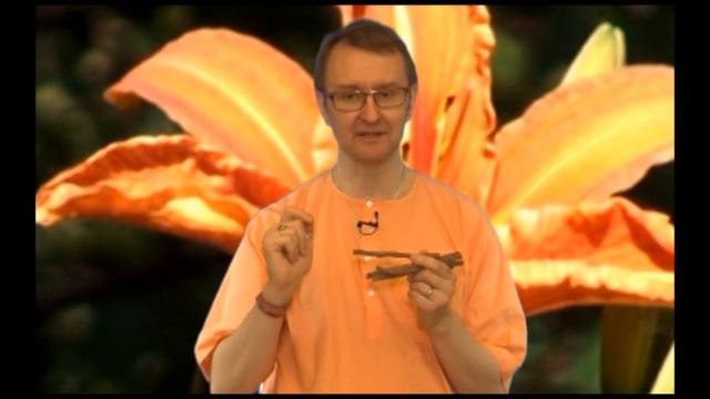 Аюрведа: Солодка (Роберт Грислис) 39 урок смотреть онлайн