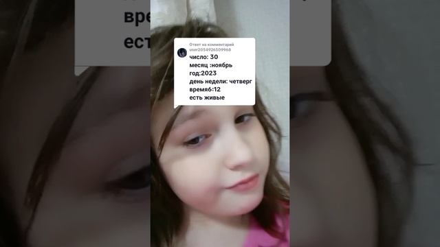 2023-11-30-180910552.mp4 смотреть онлайн