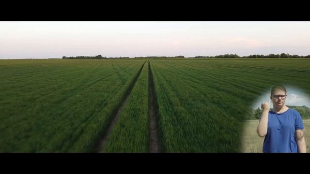 Co To Jest POLSKA, Что такое ПОЛЬША