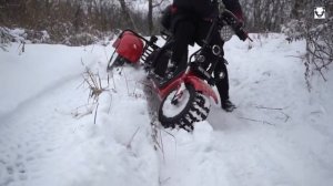 WS  PRO TRIKE 3000W Отзыв о  электроскутере citycoco! Жесткий тест драйв электротрицикла