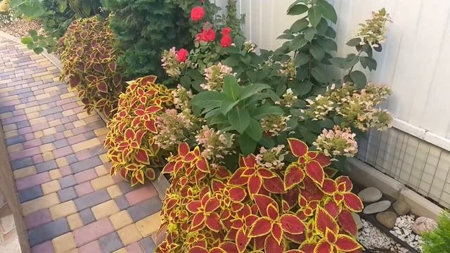 Осенний сад смотреть онлайн