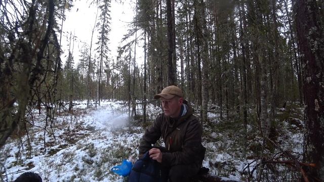 Столько глухарей я еще не видел, но без шанса на стрельбу. смотреть онлайн