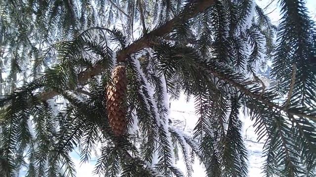 ПРОШУ ПРОЩЕНИЯ У ВСЕХ!!!!. Простите меня........(стих в описании) смотреть онлайн