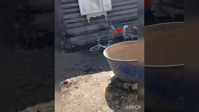 РАБОТАЕМ В ОГОРОДЕ-ИНКУБАЦИЯ УТЯТ-НОВАЯ МЕБЕЛЬ В НОВОМ ?-ДЕТИ ПЕРЕСЕЛИЛИСЬ В ДОМ -ПЕРЕПЕЛЯТА смотреть онлайн
