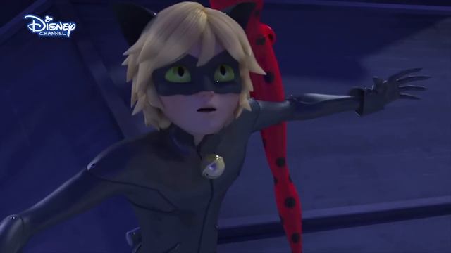 Mucize: Uğur Böceği Ile Kara Kedi I Kara Kedi'nin Kabusu 😧I Disney Türkiye