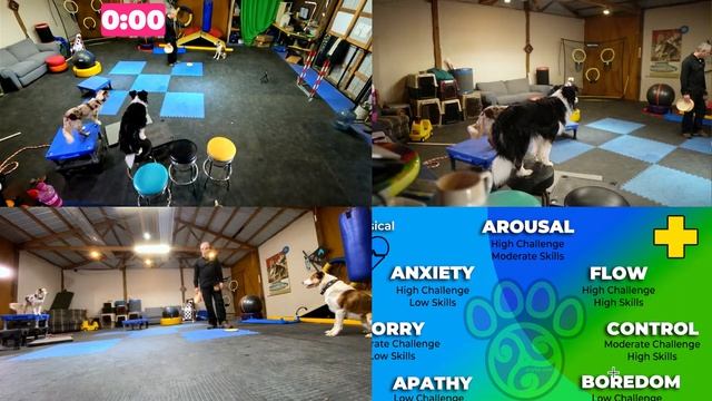 Setting the Right Tone: Where is the Handler Game | Slacker Sunday #97 at DiscDog Dojo ??? смотреть онлайн