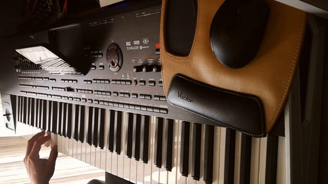 Papierowy księżyc (Halina Frąckowiak) KORG PA4X RMX смотреть онлайн