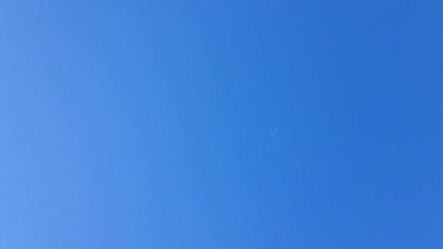 Пермские голуби 2018 (т: 8 929 637 22 83 Diplomat) смотреть онлайн