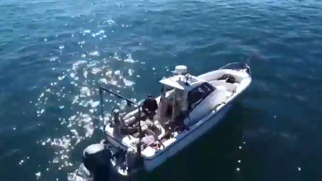 На рыбалку за Палтусом. Охотское море. смотреть онлайн