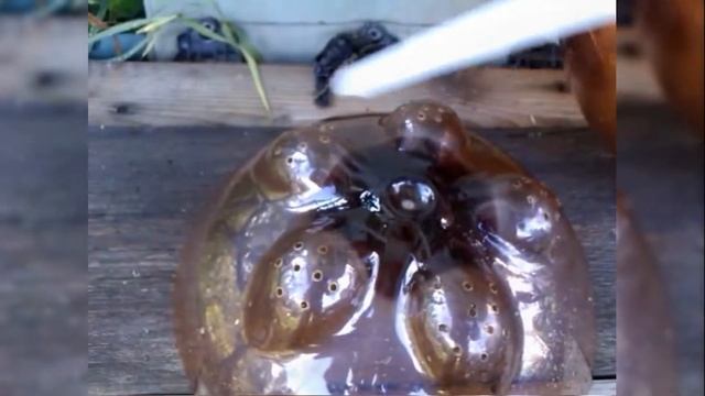 ЦКТ из ПЭТ инструкция изготовления. с нормальным звуком смотреть онлайн