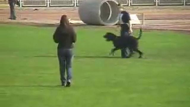 Lex V. Hatzbachtal, ISPU 2008, C-95