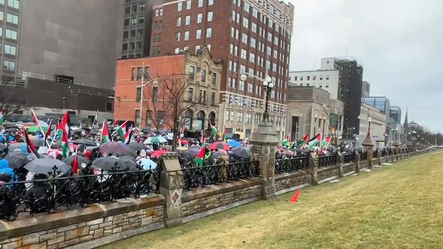 Pro Palestine Rally | Ottawa | Canada | Mar 9, 2024 #palestine смотреть онлайн