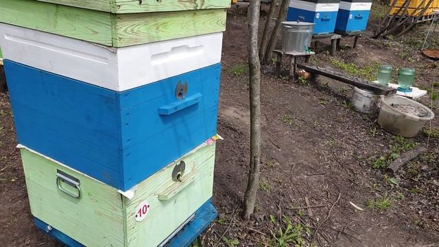 Супер воспиталка. За 2 минуты подсилил слабыша. смотреть онлайн