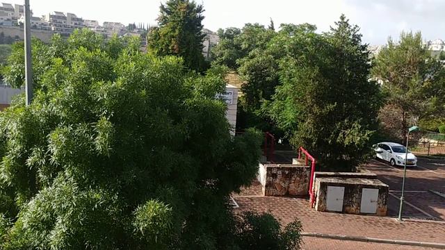 НИКОГДА НЕ ДЕЛАЙТЕ ТАКОЙ ГРУБОЙ ОШИБКИ,КАК СДЕЛАЛА Я,ПРОЧИТАВ НА ПРОСТОРАХ ИНЕТА ТАКОЙ СОВЕТ. смотреть онлайн
