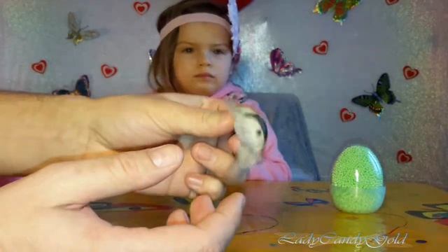 Большие яйца ШАРИКОВЫЙ ПЛАСТИЛИН СЮРПРИЗЫ морские животные / Large eggs ball clay смотреть онлайн