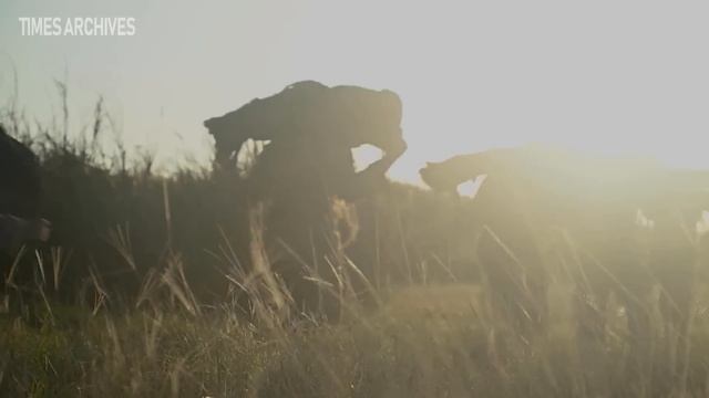 United States Marine Corps Scout Sniper | Expert Marksman смотреть онлайн