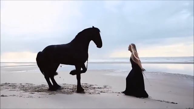 Автор Игорь Радишевский. Мой Добрый Друг) смотреть онлайн